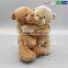 New Design Couple Bear Soft Toy for Baby