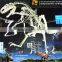 MY Dino-C068 Skeleton decor life size fiberglass dinosaur skeleton