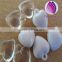 Wholesale Bulk Acrylic 6mm Heart Beads for Kid Diy Jewelry