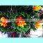 Popular Style Garden Decorative Fiber Optic Tree With Led Lamps