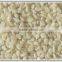 Export Quality Hulled Sesame