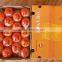 2015 navel orange supplier in china with best price