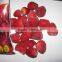 promotion of 2016 HOt Sale Frozen Strawberry