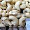 VISIMEX HIGH QUALITY CASHEW NUT
