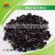 Manufacture Supply Black Goji Berry