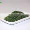 AD Drying Process Dehydrated Caraway Leaf