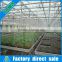 Hot sale rolling bench seed bed for agriculture greenhouse