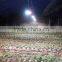 2017 Full Spectrum Led Grow Lights in Agriculture With Bridgelux Led Chip