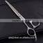 Professional hair cutting scissors Set