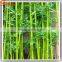 Customized Beautify Artificial Bamboo Fake Bamboo For Park and Garden Landscape Decoration