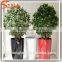 Guangzhou Supplier Artificial Ficus Tree Home Decoration Artificial Ficus Tree
