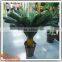 Factory design life size bonsai plants for sale indooor plastic bonsai tree