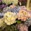hot sell artificial hydrangea silk flowers wedding wall decoration table centerpiece