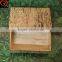 Wholsale Natural Chinese Bamboo Sushi Box