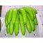 FRESH CAVENDISH BANANA