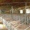 Poultry Farm  Industrial Axial Exhaust Fan