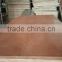 plywood best price 10mm commercial plywood sheet