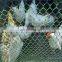 high strength Easily Assembled animal cage banks with high Quality