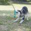 2021 pet dog toys dog rope teeth clean toy pet interactive toys dog