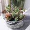 Office desktop green plant flowers micro landscape Nordic indoor potted ornaments indoor bonsai