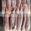 illex squid frozen illex squid price whole round 100-150 150-200 200-300