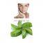 in Stock 100% Organic Raw Material Bulk Powder Aloe Vera Extract