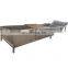 Air Bubble Vegetable Washer Bubble Washing Machine for Berries Food Industry