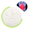 Bulk Supply Bifidobacterium Longum Freeze Dried Probiotics Food Additive Powder For Promote Digestion