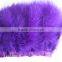 Natural Craft Fashion Lace Purple Turkey Feather Trim For Hats