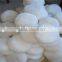 China manufacturer supply 100% wool felt buffing pad with low price
