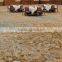 Project carpet, Woven carpet, Wool carpet