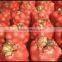 PE drawstring tubular leno mesh bags for onions                        
                                                Quality Choice