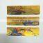 plastic lenticular flexible ruler
