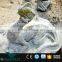 OAV2412 Real size dinosaur fossil egg for sale