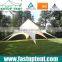 PVC fabric pole stretch star shaped party wedding tent for outdoor event                        
                                                Quality Choice