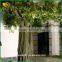 China supplier artificial ficus tree high quality artificial ficus tree