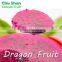 2016 Taiwan Fresh Dragon fruit