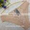 Hot sexy women's underwear cotton lace briefs Wholesale