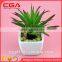 Manufacturers simulation tree simulation wholesale home decoration simulation pot