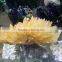 Natural Beauteous Crystal Stone Drusy Citrine Cluster For Sale