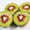 Fresh red kiwi fruit