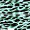FDY printing knitted fabric