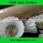 wholasale duck feather top training shuttlecocks extremely durable shuttlecocks badminton