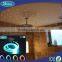 LSS-120 color changing fiber optic led light.6 color or twinkle white color change