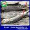 China Best price Frozen Jack Mackerel/Horse Mackerel