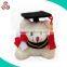 Factory wholesale cheap price custom stuffed handmade toy graduation plush