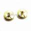 Gold Shoes Zinc Alloy Cusp Rivets studs