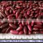 Dark Red Kidney Beans / Common Beans Dark Red / Phaseolus vulgaris (Red Ruby)