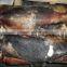 Frozen Giant Squid whole round