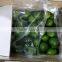 Viet Nam Seedless lime
